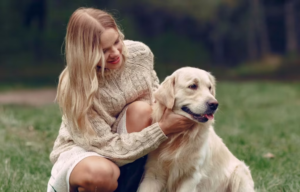 affordable, Rectangle, other street communities, home, mobile, affordable homes